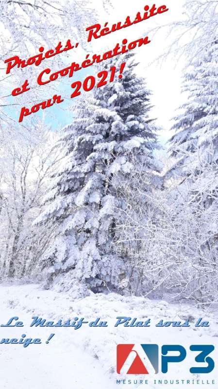 Bonne année 2021
